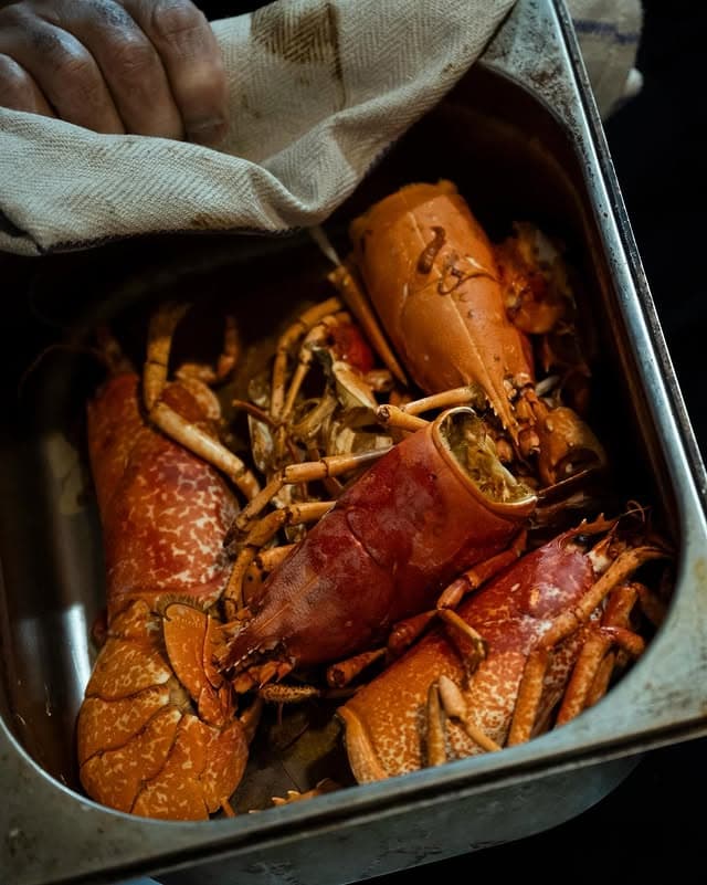 Whole lobsters and crayfish resting in a steel tray.